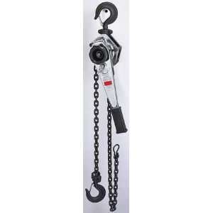 Dayton 3TP98 Hoist, Chain, 3T, 10Ft Lift, Rated 75Lb:  