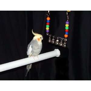  Ring my Bell Conure / Senegal Bird Toy (Sophomore): Pet 