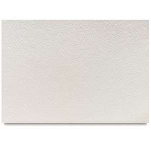   Watercolor Paper   29frac12; x 42, Sheet, 140 lb: Office Products