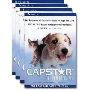  4 PACK CAPSTAR Blue for Dogs or Cats 2 25 lbs(24 tablets 