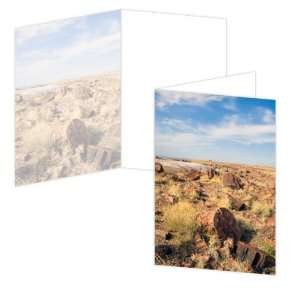  ECOeverywhere Petrified Forest Boxed Card Set, 12 Cards 