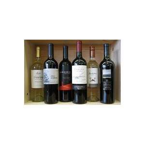  South American Wine Pack 750ML Grocery & Gourmet Food