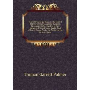   Producing Nation of the Future; Statis: Truman Garrett Palmer: Books