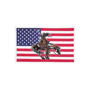  American Indian USA Flag: Patio, Lawn & Garden