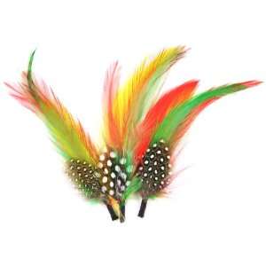  Touch of Nature 38115 Feather Pick Embellishment, 5 Inch 