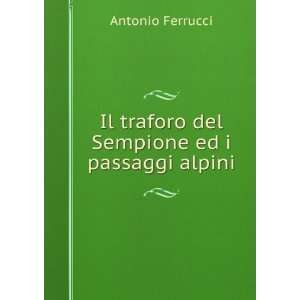   Il traforo del Sempione ed i passaggi alpini Antonio Ferrucci Books