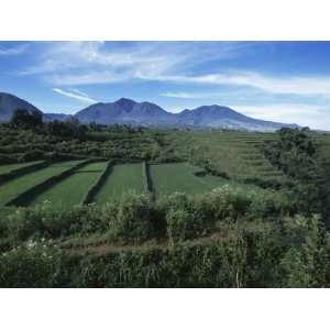 Rice Paddies, Flores Island, Indonesia, Southeast Asia Photographic 