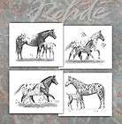 Equine art/appaloosa horse/ tribal children signed print by artist 