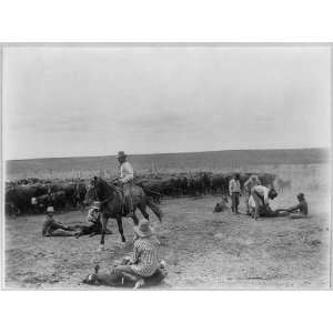  Cowboys on the XIT Ranch,branding calves,horseman,roped 