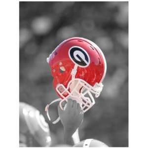  Georgia Bulldogs 17 x 23 Vertical Raised Helmet Vinyl 