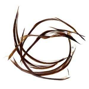  Feather, goose (dyed), brown, 4 x 1/8 to 6 1/2 x 1/8 inch biot 