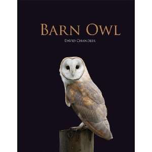 Barn Owl [Hardcover]: David Chandler: Books
