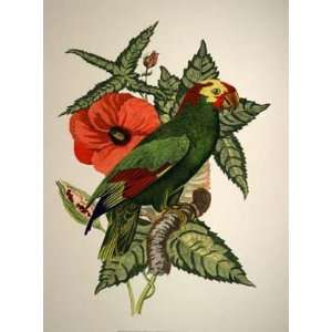  Tropical Bird Botanical I Poster Print