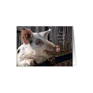   Birthday Card, Age 7   Animal Domestic Pig Hog Farm Card: Toys & Games