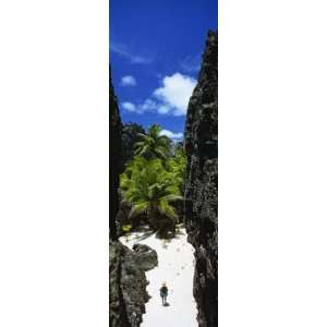 Birds Eye View of Hiker on White Sand, Coral Cliffs, Palm Trees, Nive 