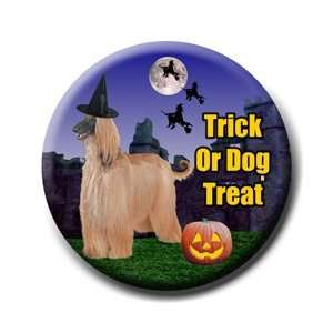 Afghan Hound Halloween Pin Badge Button No 1
