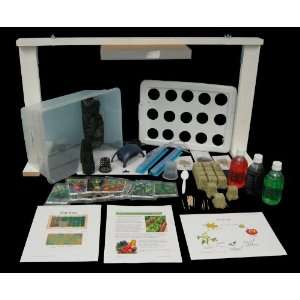   Plant Growth and Development Student Science Kit Toys & Games