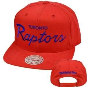   Solid Script Snapback Hat Cap NZ926 Toronto Raptors: Sports & Outdoors