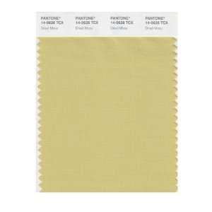  PANTONE SMART 14 0626X Color Swatch Card, Dried Moss