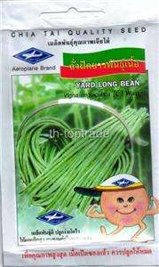 12 PACK OF  YARD LONG BEAN  SEEDS PRODUCT OF THAILAN  
