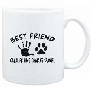   FRIEND IS MY Cavalier King Charles Spaniel  Dogs: Sports & Outdoors