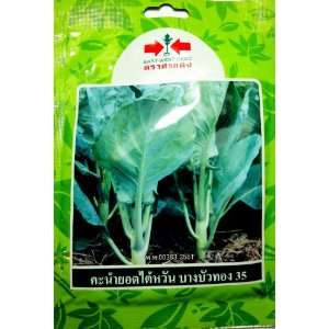  Thai Kale Bangbuatong (East West Seed) 3 pcs 