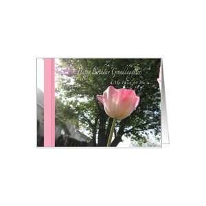  Granddaughter Happy Birthday Pink Fancy Tulip Card: Toys 