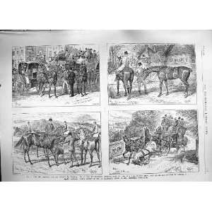 1889 ADVERTISEMENT ELLIMAN EMBROCATION HUNTING HORSES  