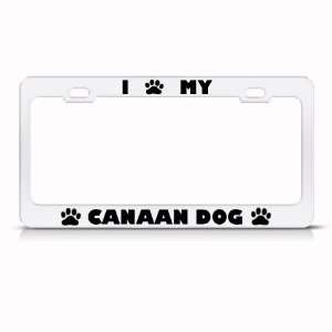  Canaan Dog Dog White Animal Metal License Plate Frame Tag 