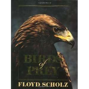  Birds of Prey [Hardcover] Floyd Scholz Books