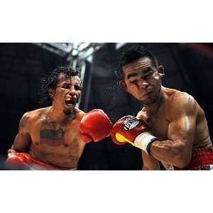  Edwin Valero Career Boxing DVDs 