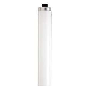   Ho 35w Fluorescent W/ Recessed Double Contact Ho/Vho Base   Daylight