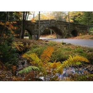 Scenic View of Fall Foliage around Triple Arch Bridge on Carriage Road 