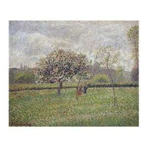  Camille Pissarro   Apple Tree Blossom At Eragny Giclee 