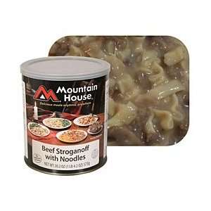  Mountain House Beef Stroganoff with Noodles Sports 