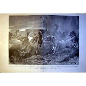  Boer War Africa Horse Stampede Attack Charlton 1900
