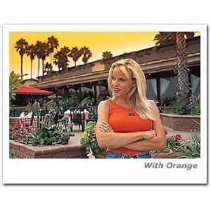  Hoya 82mm Half Color Orange