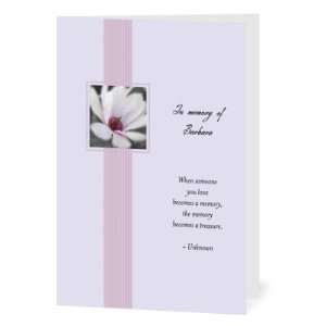  Sympathy Greeting Cards   Distinct Daisy By Magnolia Press 