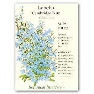  Lobelia Cambridge Blue Seed Patio, Lawn & Garden