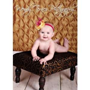   Tufted Pinched Cloth Backdrop Gold Mod 5x9 Feet