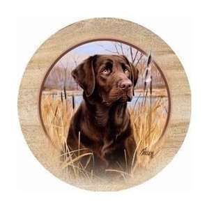  Killens Chocolate Lab   Sandstone Thirstystone Coasters 