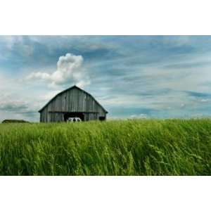  Barnstorming 1, Limited Edition Photograph, Home Decor 