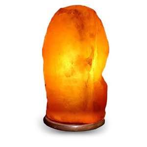  16   20 Pound Himalayan Salt Lamp: Home Improvement