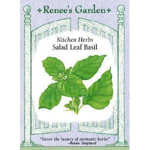  Basil   Salad Leaf Seeds Patio, Lawn & Garden