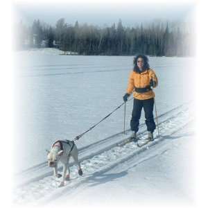  Kondos Outdoors   Skijoring Kit   Made in the USA Pet 