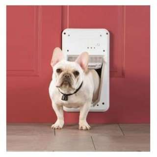   door give your pet a key to the house grant him exclusive access to