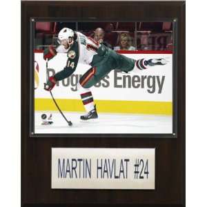  NHL Martin Havlat Minnesota Wild Player Plaque Sports 