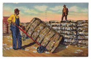 Black Americana postcard moving Cotton bales  