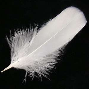 100 White Feather Wedding Banquet Party Bridal Favor  