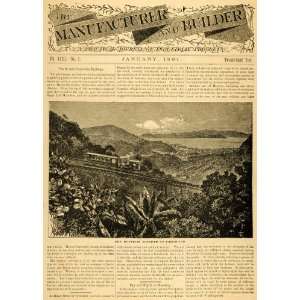   Janeiro Brazil Tijuca Forest   Original Print Article